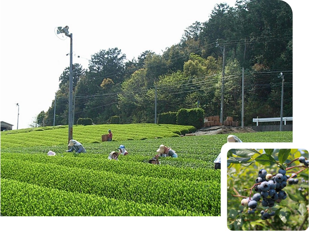 魅力のひとつは何といっても、大自然！