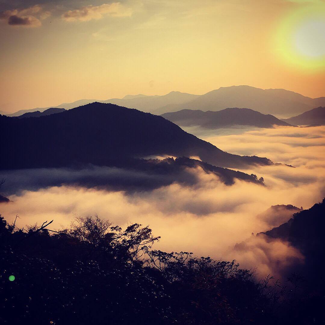 雲海 三重県大台町の雲海！ | 大台町観光協会