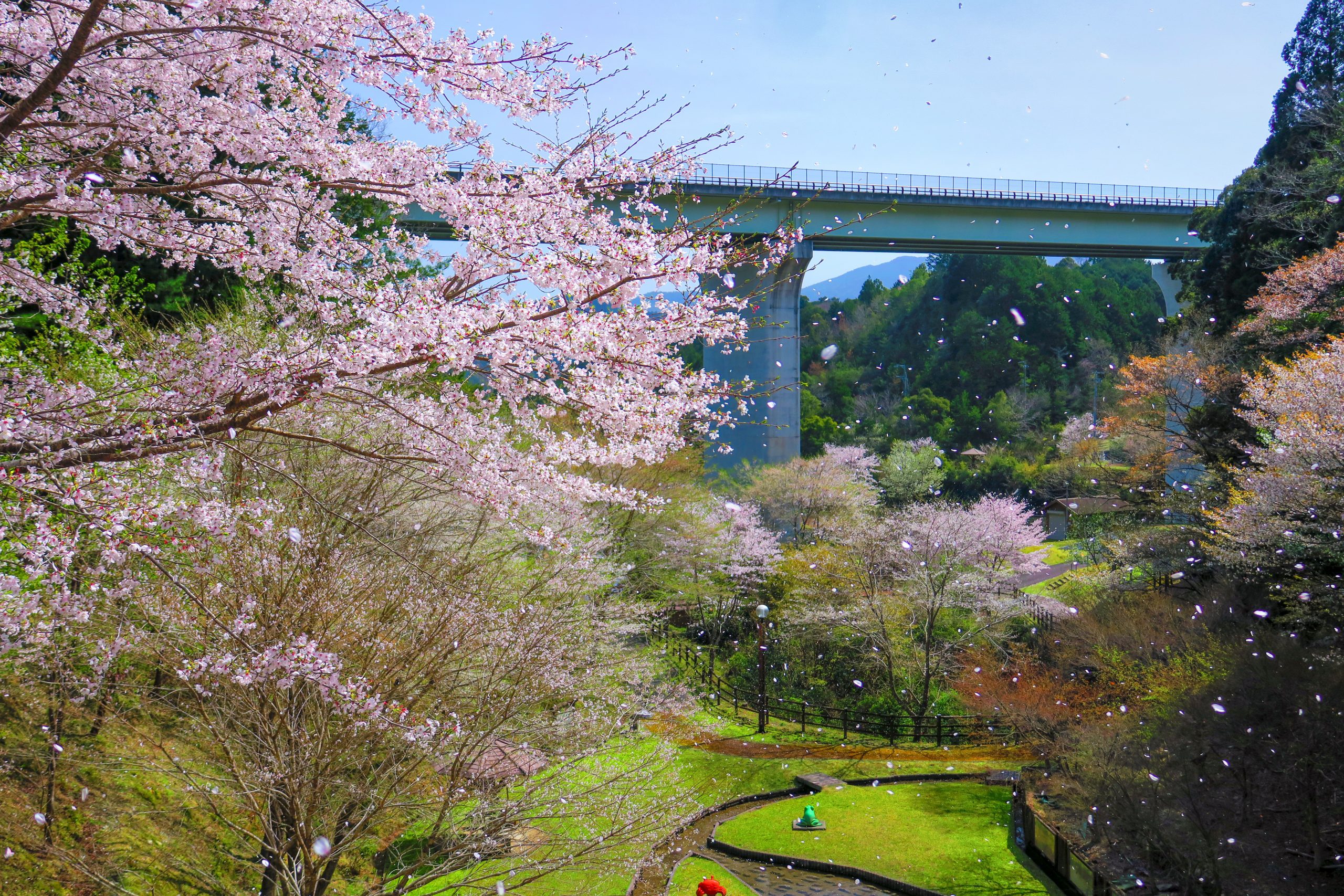 2023年版】三重県大台町のお花見スポット・桜情報 | 大台町観光協会